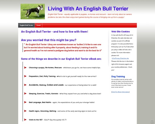 English Bull Terrier | How to live with and without them English Bull Terrier | How to live with and without them